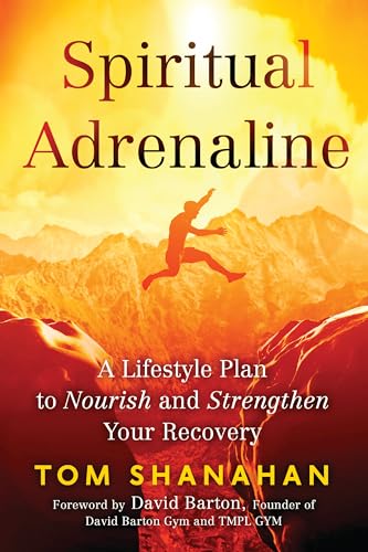 Spiritual Adrenaline: A Lifestyle Plan to Nourish and Strengthen Your Recovery
Spiritual Adrenaline: A Lifestyle Plan to Nourish and Strengthen Your Recovery