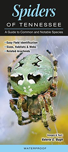Spiders of Tennessee A Guide to Common & Notable Species