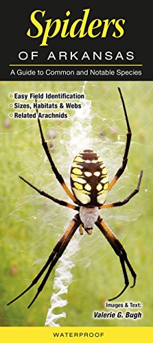 Spiders of Arkansas A Guide to Common & Notable Species
