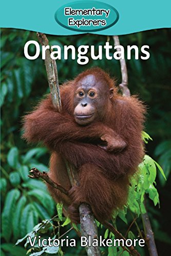 Orangutans (46) (Elementary Explorers)
