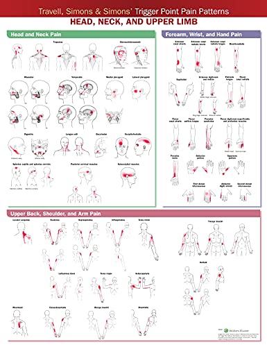 Travell, Simons & Simons’ Trigger Point Pain Patterns Wall Chart: Head, Neck, and Upper Limb
Travell, Simons & Simons’ Trigger Point Pain Patterns Wall Chart: Head, Neck, and Upper Limb