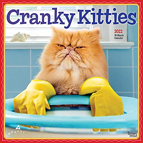 Avanti Cranky Kitties 2022 12 x 12 Inch Monthly Square Wall Calendar with Foil Stamped Cover, Angry Cat Humor Feline
Avanti Cranky Kitties 2022 12 x 12 Inch Monthly Square Wall Calendar with Foil Stamped Cover, Angry Cat Humor Feline