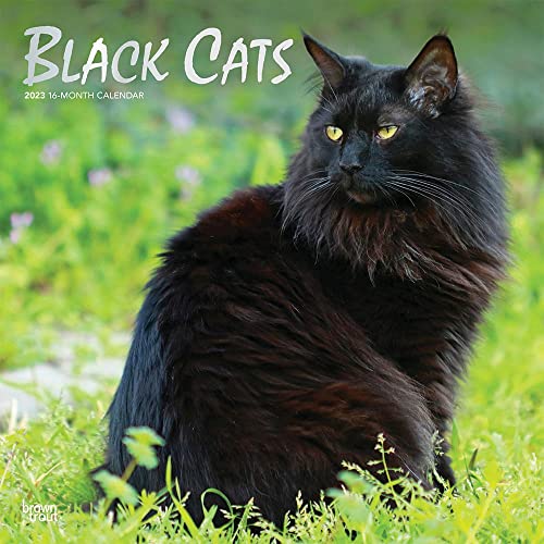 Black Cats | 2023 12 x 24 Inch Monthly Square Wall Calendar | Foil Stamped Cover | BrownTrout | Animals Kittens Feline
Black Cats | 2023 12 x 24 Inch Monthly Square Wall Calendar | Foil Stamped Cover | BrownTrout | Animals Kittens Feline