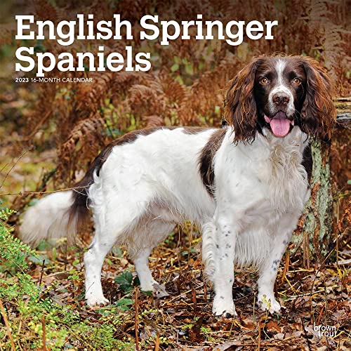 English Springer Spaniels | 2023 12 x 24 Inch Monthly Square Wall Calendar | BrownTrout | Animals Dog Breeds DogDays
English Springer Spaniels | 2023 12 x 24 Inch Monthly Square Wall Calendar | BrownTrout | Animals Dog Breeds DogDays