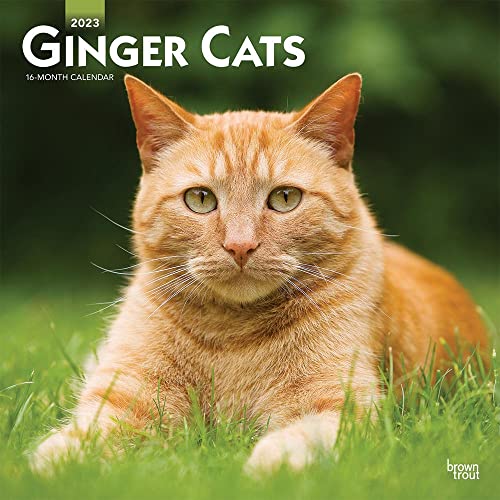 Ginger Cats | 2023 12 x 24 Inch Monthly Square Wall Calendar | BrownTrout | Animals Kittens Feline Pets
Ginger Cats | 2023 12 x 24 Inch Monthly Square Wall Calendar | BrownTrout | Animals Kittens Feline Pets