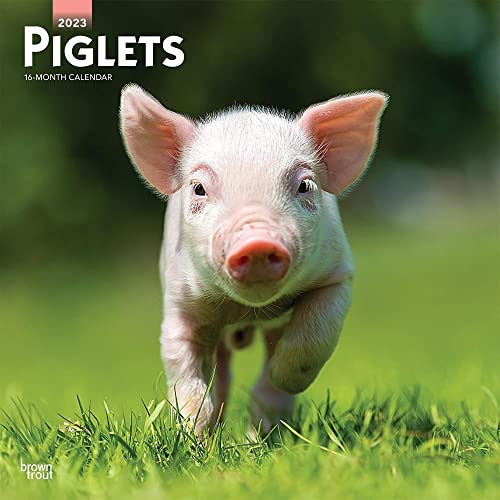 Piglets | 2023 12 x 24 Inch Monthly Square Wall Calendar | BrownTrout | Domestic Pet Baby Farm Animals
Piglets | 2023 12 x 24 Inch Monthly Square Wall Calendar | BrownTrout | Domestic Pet Baby Farm Animals