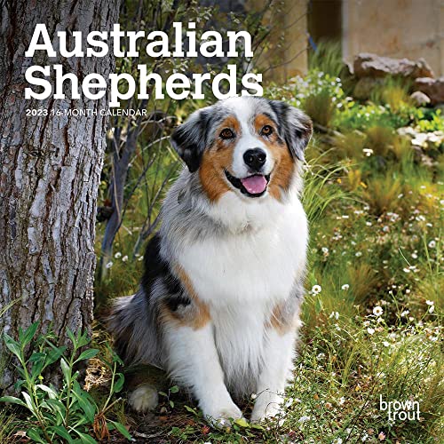 Australian Shepherds | 2023 7 x 14 Inch Monthly Mini Wall Calendar | BrownTrout | Animals Dog Breeds DogDays
Australian Shepherds | 2023 7 x 14 Inch Monthly Mini Wall Calendar | BrownTrout | Animals Dog Breeds DogDays