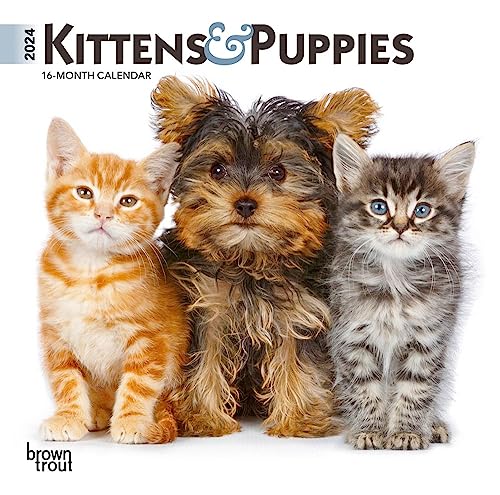 Kittens & Puppies | 2024 7 x 14 Inch Monthly Mini Wall Calendar | BrownTrout | Animals Cute Dogs Cats
Kittens & Puppies | 2024 7 x 14 Inch Monthly Mini Wall Calendar | BrownTrout | Animals Cute Dogs Cats