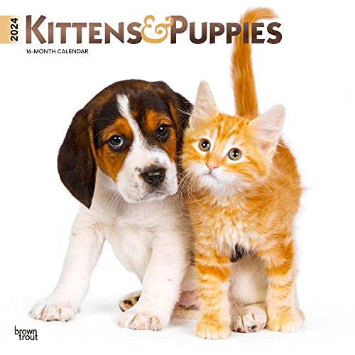 Kittens & Puppies | 2024 12 x 24 Inch Monthly Square Wall Calendar | Foil Stamped Cover | BrownTrout | Animals Cute Cats Dogs
Kittens & Puppies | 2024 12 x 24 Inch Monthly Square Wall Calendar | Foil Stamped Cover | BrownTrout | Animals Cute Cats Dogs