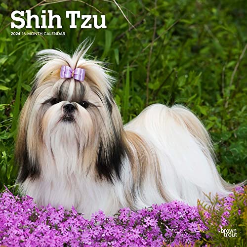 Shih Tzu | 2024 12 x 24 Inch Monthly Square Wall Calendar | BrownTrout | Animals Small Dog Breeds
Shih Tzu | 2024 12 x 24 Inch Monthly Square Wall Calendar | BrownTrout | Animals Small Dog Breeds