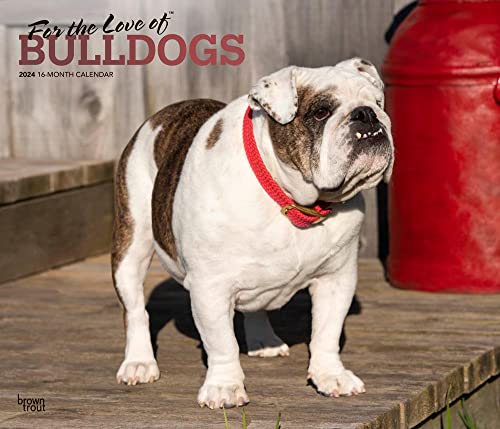 For the Love of Bulldogs | 2024 14 x 24 Inch Monthly Deluxe Wall Calendar | Foil Stamped Cover | BrownTrout | Animal Dog Breeds
For the Love of Bulldogs | 2024 14 x 24 Inch Monthly Deluxe Wall Calendar | Foil Stamped Cover | BrownTrout | Animal Dog Breeds