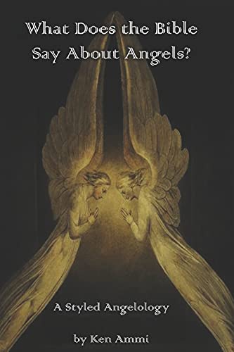 What Does the Bible Say About Angels : A Styled Angelology