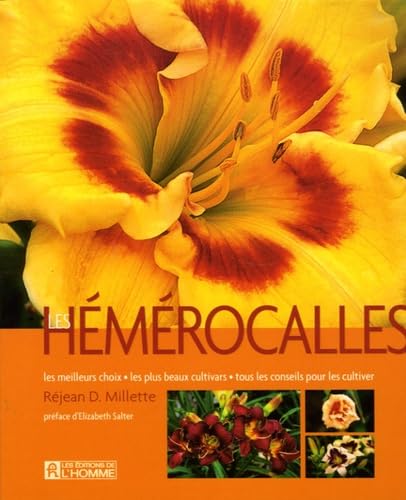 Hémérocalles : les meilleurs choix - les plus beaux cultivars - tous les conseils pour les cultiv...