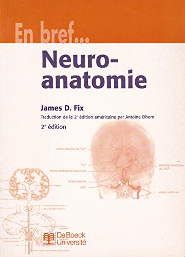 Neuro-anatomie
