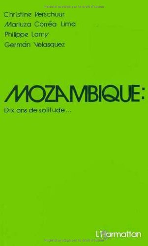 Mozambique : dix ans de solitude.