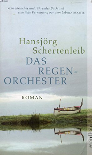 Das Regenorchester: Roman