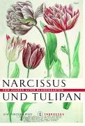 Narcissus und Tulipan: Vom Zauber alter Blumengärten