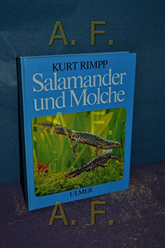 Salamander und Molche : Schwanzlurche im Terrarium.