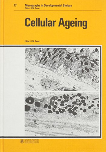 Cellular ageing