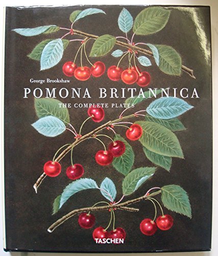 Pomona Britannica. Ediz. inglese, francese e tedesca: The complete plates (Jumbo)