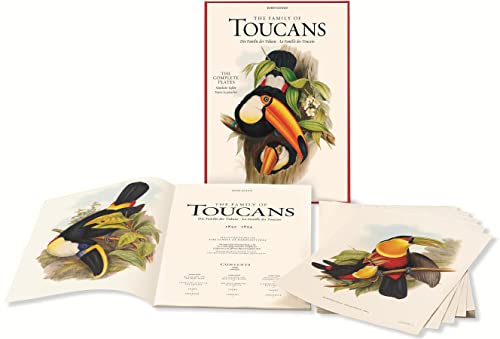 The Family of Toucans - 1852 -1854 : Illustrations of the Family of Ramphastidae