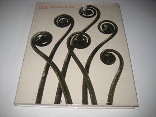 Karl Blossfeldt, photography.