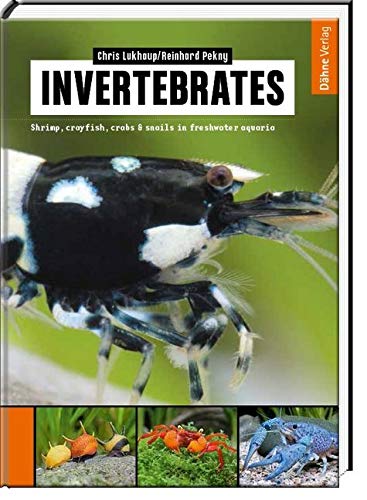 Invertebrates: Shrimp, crayfish, crabs & snails in freshwater aquaria