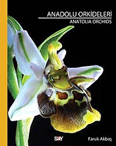 Anatolia orchids = Anadolu orkideleri.