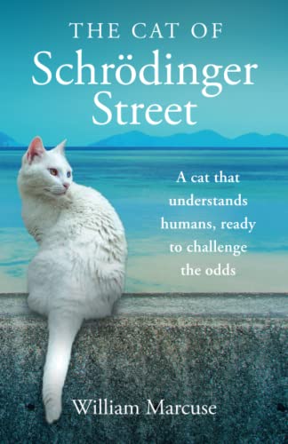 The Cat of Schrödinger Street: A cat that understands humans, ready to challenge the odds.
The Cat of Schrödinger Street: A cat that understands humans, ready to challenge the odds.