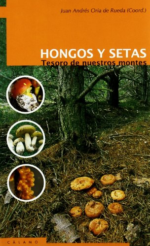 HONGOS Y SETAS