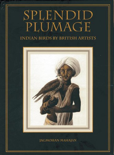 Splendid Plummage : Indian Birds By British Artists