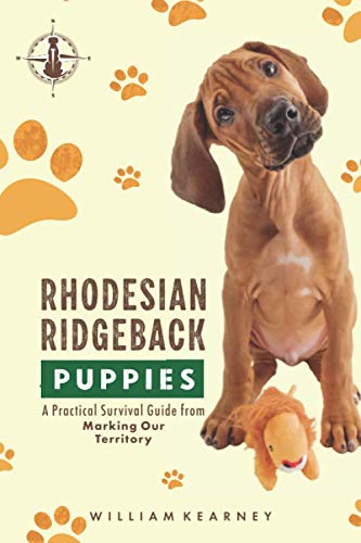 Rhodesian Ridgeback Puppies: A Practical Survival Guide from Marking Our Territory
Rhodesian Ridgeback Puppies: A Practical Survival Guide from Marking Our Territory