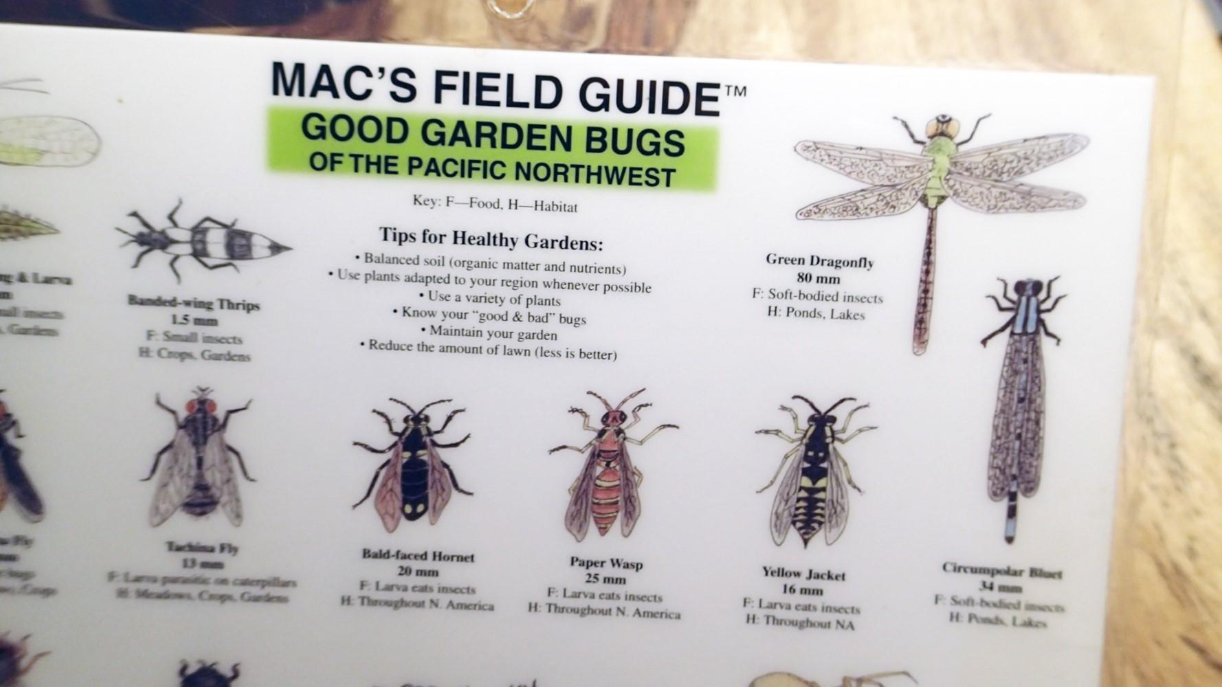 Good Bad Garden Bugs Of The Pacific Northwest Mac S Guides