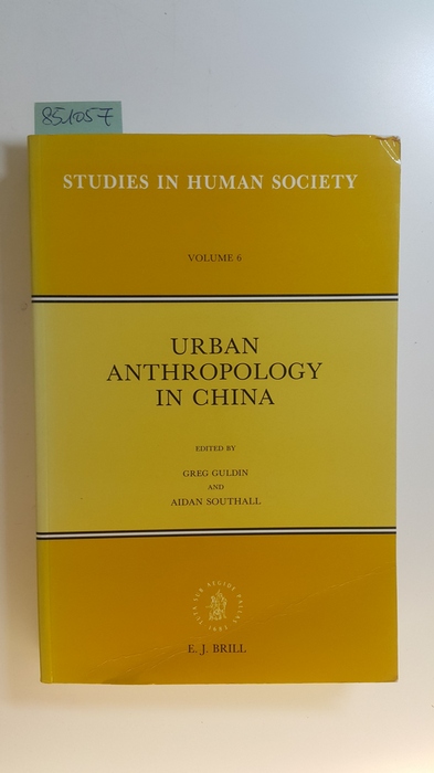 Urban anthropology in China - Guldin, Greg [Hrsg.]