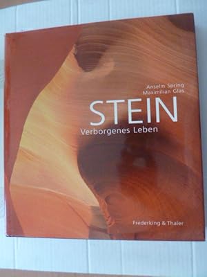 *Stein : verborgenes Leben