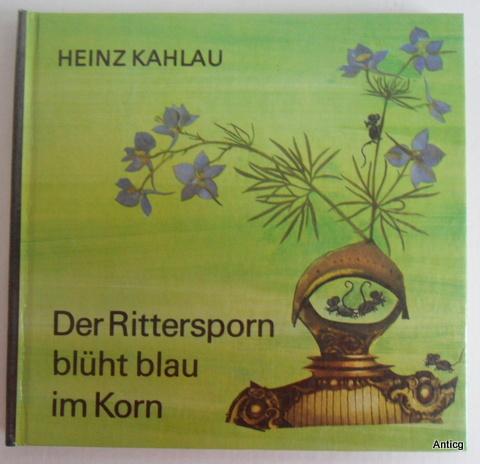 Der Rittersporn blüht blau im Korn