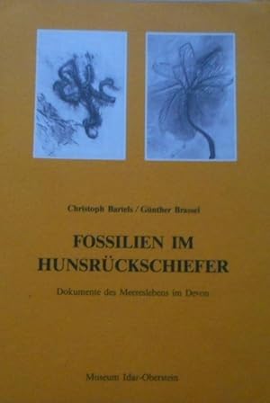 Fossilien im Hunsrückschiefer. Dokumente des Meereslebens im Devon.