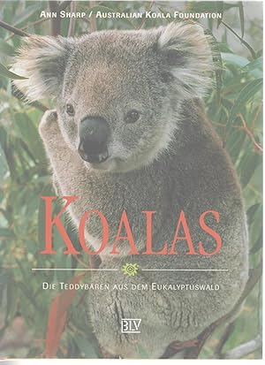 Koalas. Die Teddybären aus dem Eukalyptuswald.