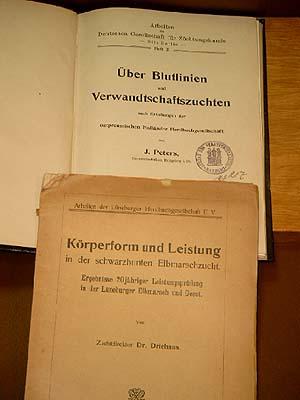 Über Blutlinien und Verwandtschaftszuchten nach Erhebungen der Ostpreussischen Holländer Herdbuch...