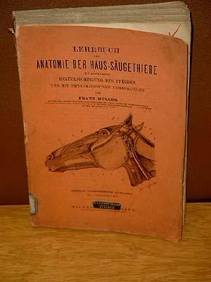 Lehrbuch der Anatomie der Haus-Säugethiere mit besonderer Berücksichtigung des Pferdes und mit ph...