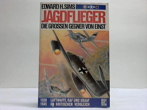 Jagdflieger. Die großen Gegner von einst. 1939 - 1945. Luftwaffe, RAF und USAAF im kritischen Vergleich.