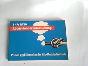 Werkstattpraxis Abgassonderuntersuchung mit Einstelldaten für PKW