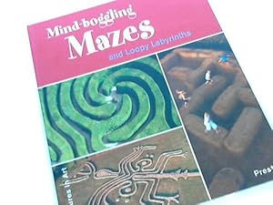 Maze and Loopy Labyrinths