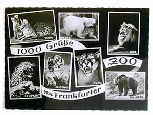 1 Postkarte: 1000 Grüße vom Frankfurter Zoo