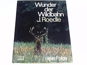 Wunder der Wildbahn. Neue Folge. Fotojagd auf Hirsch, Bär und anderes Wild