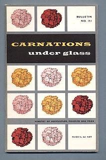 CARNATIONS UNDER GLASS. Bulletin No. 151