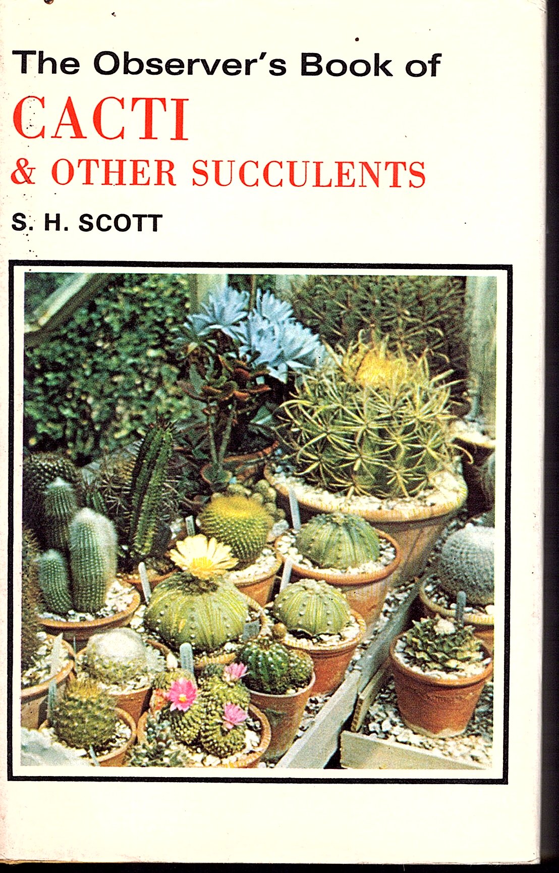 The Observer's Book of Cacti and other Succulents. 1967