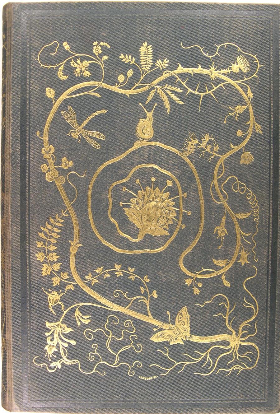 Grandville 5 Supreme Hardcover Schreiber und Leser
