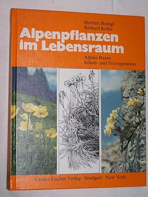 Alpenpflanzen im Lebensraum. Alpine Rasen, Schutt- und Felsvegetation. Vegetationsökologische Inf...