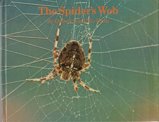 THE SPIDER'S WEB - Oxford Scientific Films